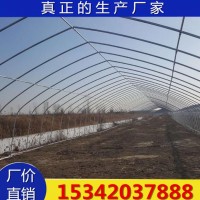 鍍鋅管廠家 承德蔬菜大棚骨架定做加工