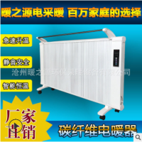 遠紅外加熱電取暖家用碳纖維家用節(jié)能取暖器氣片家用電暖器