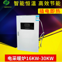 新款16KW-30KW家用電采暖爐 智能節(jié)能電鍋爐電采暖爐