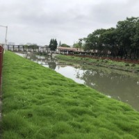 生態(tài)混凝土-綠化混凝土-植生混凝土-植被砼-生物基質(zhì)混凝土