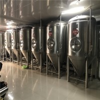 供應德國精釀啤酒設備 德國釀酒工藝技術 自動化啤酒設備廠家